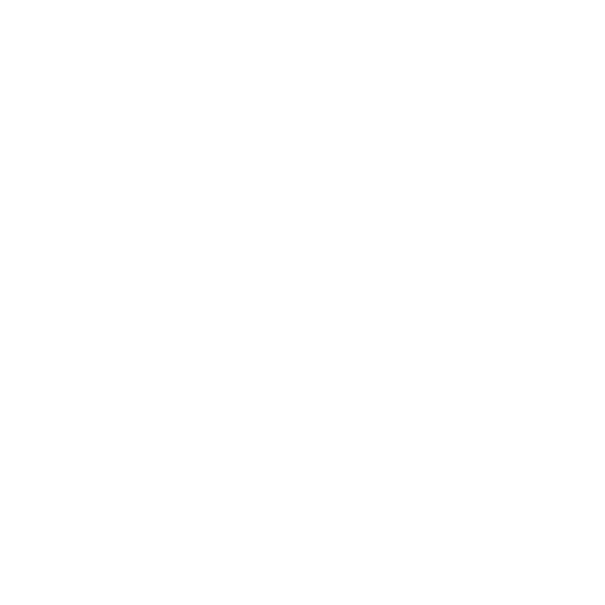 Norbrook Vaughan Client Logo